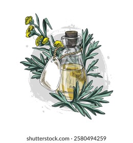 Wormwood plant and bottle of oil or juice sketch. Hand drawn wormwood flowers and leaves, harvest and product of medical plant. Artemisia absinthium, sagebrush ayurveda essential oil herb
