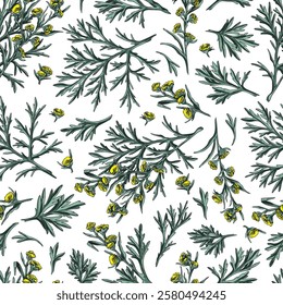 Wormwood plant seamless pattern sketch. Hand drawn wormwood branch, flowers and leaves. Cosmetics and medical plant. Artemisia absinthium, sagebrush ayurveda essential oil herb vector illustration