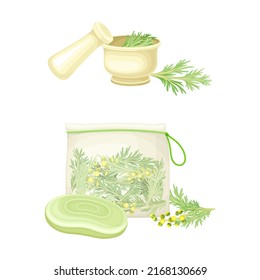 Wormwood or southernwood plant. Artemisia mongolica, flowering herbaceous medicinal plant vector illustration