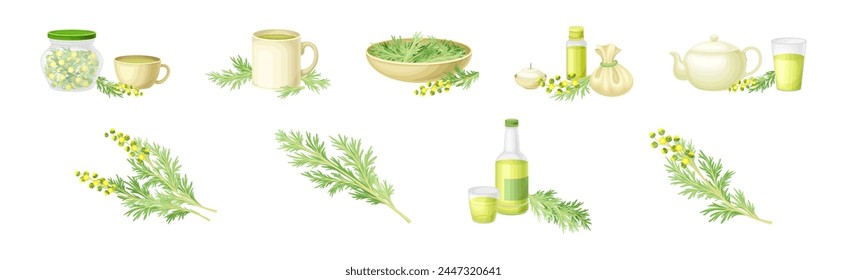 Wormwood or Southernwood Plant Extract and Herb Vector Set