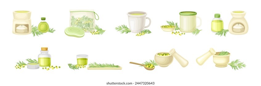 Wormwood or Southernwood Plant Extract and Herb Vector Set