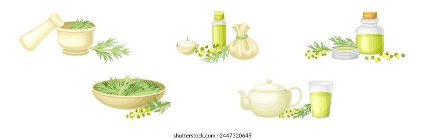Wormwood or Southernwood Plant Extract and Herb Vector Set