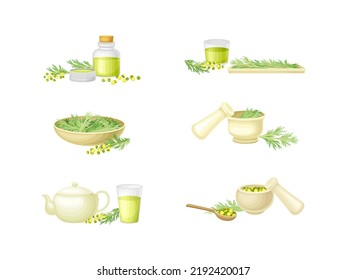 Wormwood or Southernwood Plant Extraction and Herbal Tea in Mug Vector Composition Set