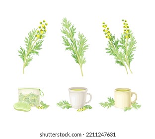 Wormwood or Southernwood Plant with Yellow Floret and Herbal Tea in Mug Vector Composition Set