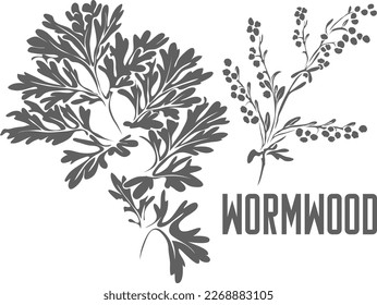 Silhouette vectorial de madera de rollo. Artemisia absinthium contorno herbario. Silhouette de hojas de madera para productos farmacéuticos y de cocer. Un conjunto de esquemas de Absinthe.