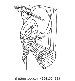 worodpecker on a branch vector illustrations. simple drawing. easy to edit