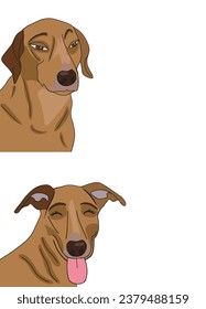 Worried dog and happy dog. Caramel-colored stray dog. Typically Brazilian pet. Vector illustration isolated on white background.