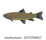 WPA poster art of a bull trout Salvelinus confluentus, a char of the family Salmonidae viewed from side done in works project administration style or federal art project style.
