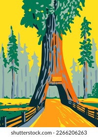 WPA Poster Kunst des Kronleuchters Baum in Drive Thru Baum Park in Leggett, Kalifornien, befindet sich im Redwood National Park getan in der Arbeit Projekt-Verwaltung Stil.