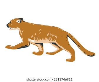 WPA poster art of a cougar, a large cat native to the Americas prowling viewed from side done in works project administration or federal art project style.