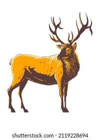 WPA poster art of an elk, Cervus canadensis or wapiti viewed from the side on isolated white background done in works project administration style or federal art project style.