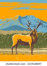 Afiche de WPA de un elk, Cervus canadensis o wapiti en el Parque Nacional de las Montañas Rocosas en el norte de Colorado, Estados Unidos de América, hecho al estilo de administración de proyectos de trabajo.