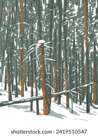 WPA poster art of forest of subalpine fir, limber pine and bristlecone pine in winter at Echo Lake, Idaho Springs in Colorado, USA done in works project administration or federal art project style.