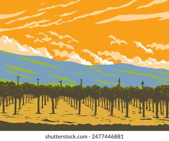 WPA poster art of grapevine in vineyards of the Napa Valley wine region north of San Francisco, in California, United States USA done in works project administration or federal art project style.