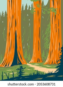 WPA poster art of Mariposa Grove of giant sequoia in the southernmost part of Yosemite National Park near Wawona, California, United States USA done in works project administration style.