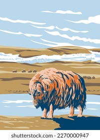 WPA poster art of Musk Ox at Aulavik National Park on Banks Island along the Thomsen River in the Northwest Territories of Canada done in works project administration or federal art project style.
