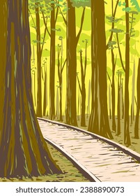 WPA poster art of old growth bottomland hardwood forest in Congaree National Park in central South Carolina USA done in works project administration or federal art project style.