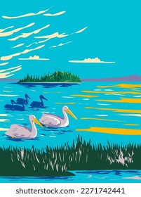 WPA poster art of pelicans in Astotin Lake within Elk Island National Park in Alberta, Canada done in works project administration.