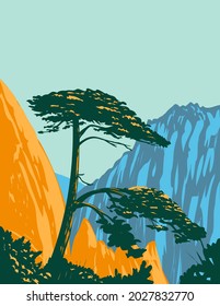 WPA poster art of a Pinus hwangshanensis or Huangshan pine on Huangshan Mountains in southern Anhui Province, Huangshan City, Eastern China done in works project administration style.