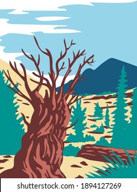 WPA poster art of the Prometheus tree, a bristlecone pine growing in a grove on Wheeler Peak near the Nevada-Utah border done in works project administration or federal art project style.