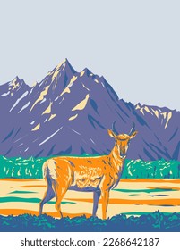 WPA poster art of a pronghorn Antilocapra americana or American antelope in Grand Teton National Park located in northwestern Wyoming United States of America done in works project administration.