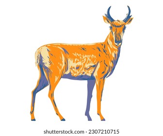 WPA poster art of a pronghorn Antilocapra americana or American antelope viewed from side done in works project administration.