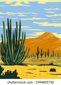 WPA poster art of stenocereus thurberi growing in Organ Pipe Cactus National Monument located in Arizona, United States and the Mexican state of Sonora done in works project administration style.