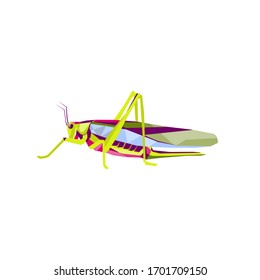 WPAP.
abstract style of pop art shaped grasshopper color