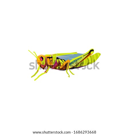 WPAP.
abstract style of pop art shaped grasshopper color