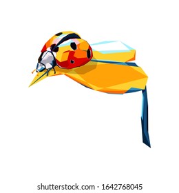 wpap pop art.
abstract beetle shape on a leaf