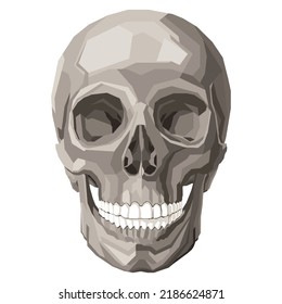 WPAP Skull with White Backgorund