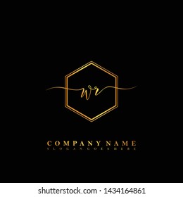 WR Initial luxury handwriting logo vector