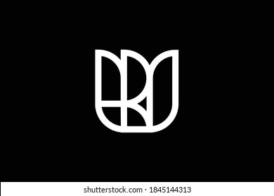 WR letter logo design on luxury background. RW monogram initials letter logo concept. WR icon design. RW and Professional letter icon design on black background. W R RW WR