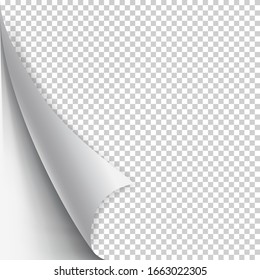 Wrapped Curly Page Corner realistic look illustration with transparent shadow. Graphic element for templates, documents, posters, flyers  vector illustration eps 10 