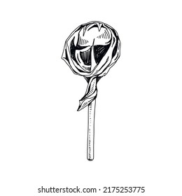 Caramelos lollipop envueltos, ilustración vectorial retro dibujada a mano. El postre es dulce, el dibujo de grabado vintage aislado de fondo blanco.