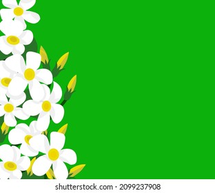 Wrapping Paper, Textile Template. Green Background. Illustration in paper style. white frangipani