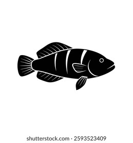 Wrasse Silhouette Vector and Wrasse Fish Black Design Illustration