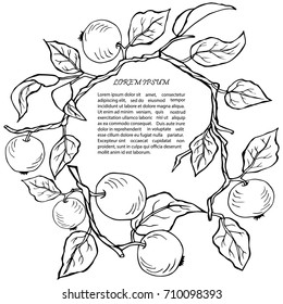 Wreath with apples on isolated on white background. Design element. It can be used for flyers, cover, invitation, birthday, greetings, Thanksgiving, Shana Tova card.Vector illustration.