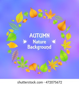 a wreath of autumn leaves in vector EPS 10.
