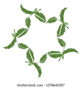 Wreath of basil branches. vector illustration of herbs. perfect for card, packaging, menu design