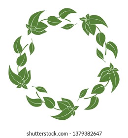 Wreath of basil branches. vector illustration of herbs. perfect for card, packaging, menu design