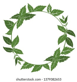 Wreath of basil branches. vector illustration of herbs. perfect for card, packaging, menu design