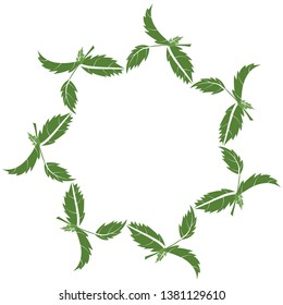 Wreath of basil branches. vector illustration of herbs. perfect for card, packaging, menu design