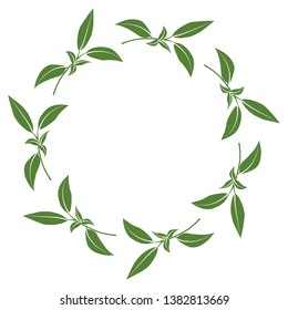 Wreath of basil branches. vector illustration of herbs. perfect for card, packaging, menu design