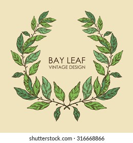 Wreath from bay leaf, hand drawn 