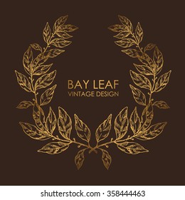 Wreath from bay leaf, hand drawn 