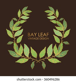 Wreath from bay leaf, hand drawn 