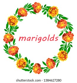  wreath of bright orange marigolds and delicate green leaves on a white background