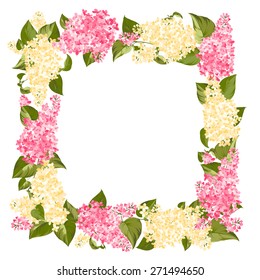 Wreath of brunches of syringe for card design. Vector illustration.