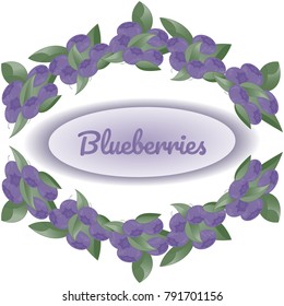 Wreath of bushes of blueberries on white background, in the center text Blueberryies. Vector illustration for design of packaging, stikers, flyers, postcards, posters.